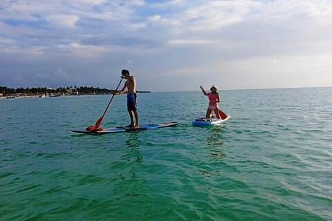 Paddle Board Classes in Holbox with Pick up