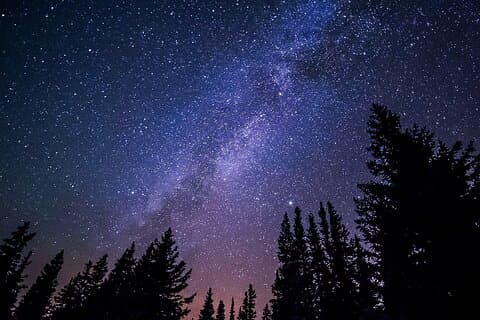 Walk in the stars