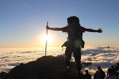 Fansipan Mount Trekking 1 dia
