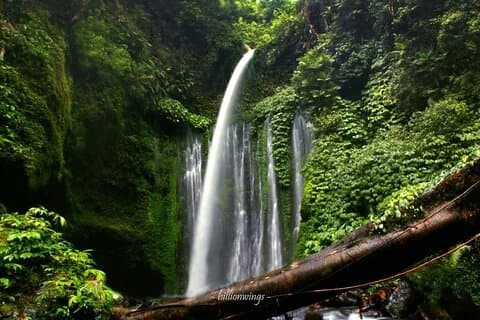 Tiu kelep waterfall lombok