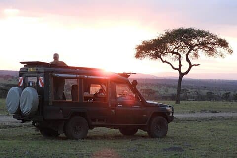 Dagtour naar Maasai Mara reserve & optioneel bezoek aan het maasai dorp