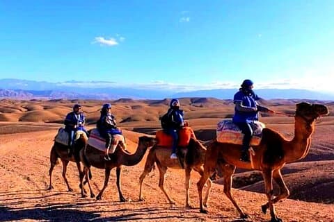 Atlas Mountains and Berber villages & Waterfalls with Camel ride