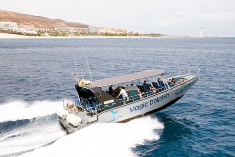 2-timers delfinsafari på Fuerteventura