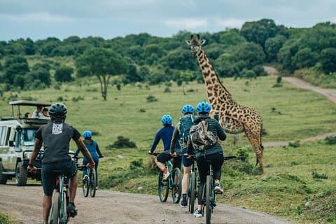 Arusha National Park E-Bike Safari Day trip