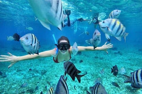 Bali Blue Lagoon Schnorcheln mit optionaler Tour & Aktivitäten