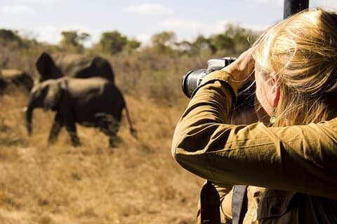 3-Days Lodge Safari in Tarangire, Ngorongoro Crater & Lake Manyara