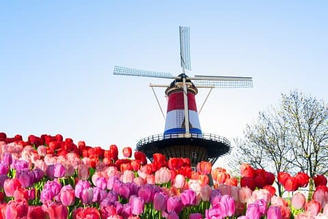 Private Tour nach Delft und Leiden von Amsterdam