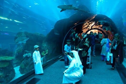 Burj Khalifa e Dubai Aquarium con biglietti combinati