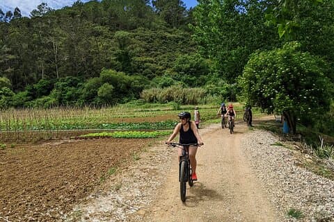 Tour de cata de vinos