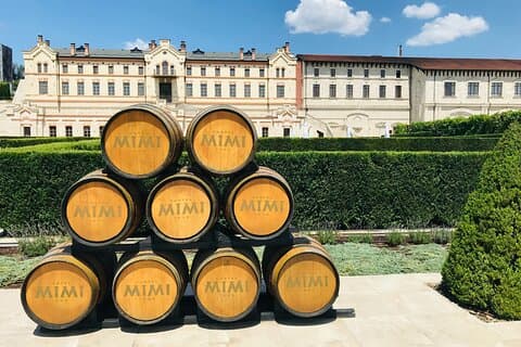 Tour privato del vino Castello Mimi con degustazione