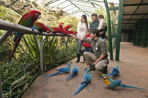 Temaiken Tour from Buenos Aires: A Journey to Nature