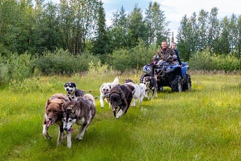 Conoce a 70 Huskies y disfruta de un corto tour en ATV con los Huskies