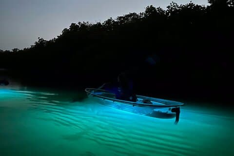 Sunset and Glow Clear Kayak Tour in North Naples