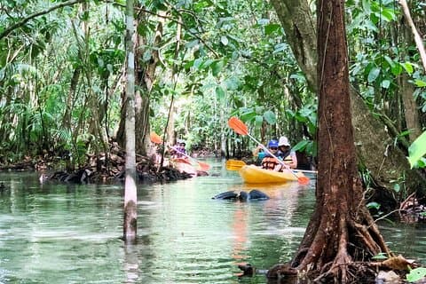Ao Nang Kajakpaddling på Klong Rud med hotelltransfer