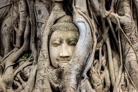 Day trip to Ayutthaya and Bang Pa-in Palace