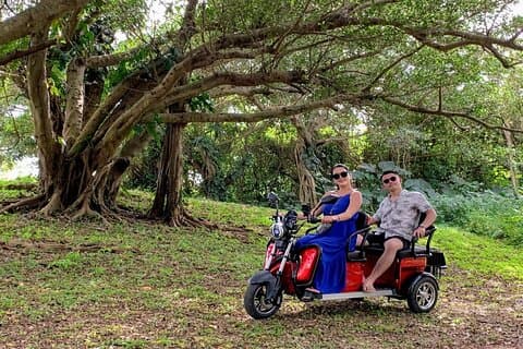 2h 3-seater electric trike rental (Ishigaki, Okinawa)