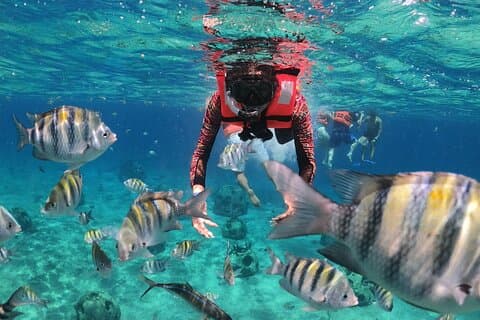 Rydd båt- og snorkeltur i Cozumel med drinker