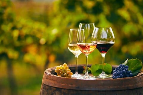 Private Tailored Full-Day Taste Tour in Lefkada with Pick Up