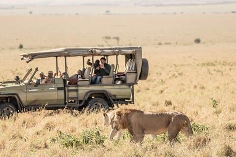2 day 4x4 Safari to Crescent Island,Maasai village & Maasai Mara