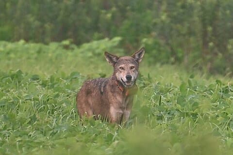 アリゲーター リバー国立野生生物保護区への 1 日プライベート ツアー
