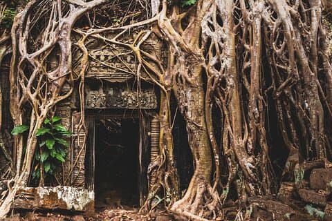 Eintägige private geführte Fahrradtour durch die Angkor-Tempel