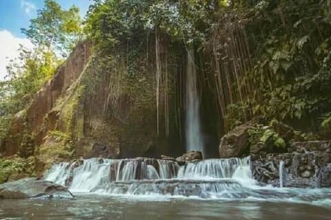 Tour privato alla cascata di Sumampan, alla foresta delle scimmie, alle terrazze di riso e all'altalena