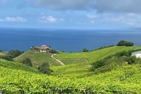 Private San Sebastián Coastal Tour with Txakoli Wine – Full Day