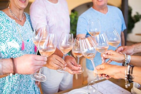Half Day Wine Tasting with Dinner in Kos