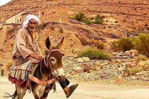 Agadir Day Privat Excursion till Taroudant och Tiout i Souss Valley