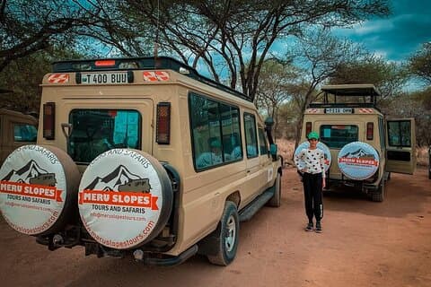 4-tägige geführte Gruppentour durch Tarangire, Serengeti, Ngorongoro und Massai