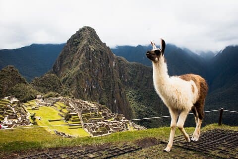 Machu Picchu Heldagstur med tåg från Cusco - Liten grupp