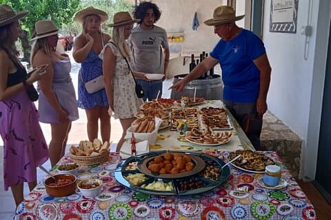 Tour dei vigneti, degustazione di vini e prelibatezze siciliane presso una Cantina ad Agrigento