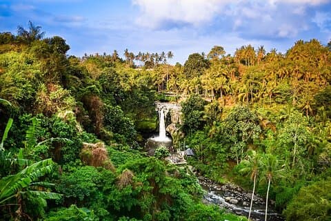 Heldagshöjdpunkter och det bästa från Ubud Village