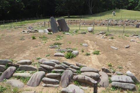 Halve dag JOMON Werelderfgoedtour in Aomori City