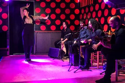 Barcelona Gothic Quarter Tour og Flamenco Show
