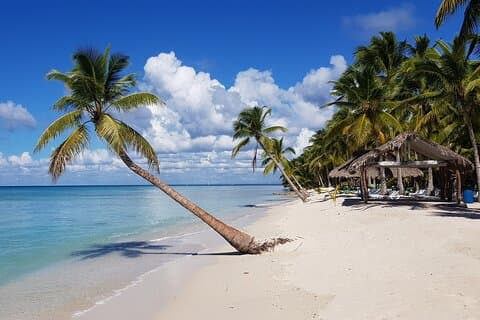 Full Day Tour to Saona Island from Samana