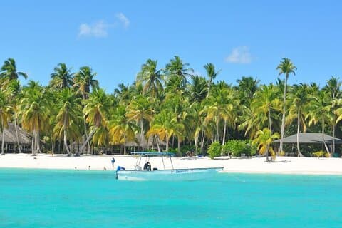 Saona Island Full-Day Tour from Santo Domingo