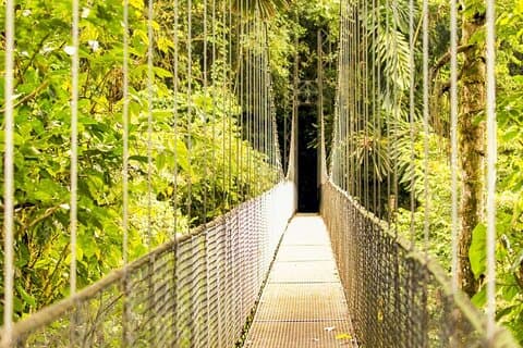 Tour privato Mistico Arenal Ponti sospesi da Guanacaste