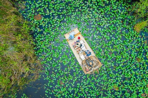 1 hr Private Airboat Everglades Tour near Miami