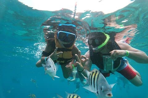 Entrada oficial para o Parque Chankanaab com snorkeling
