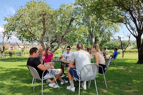 Vinsmagning med lokal mad i Lazise-landskabet