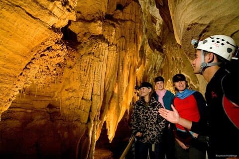 Rotorua & Waitomo caves day tours from Auckland
