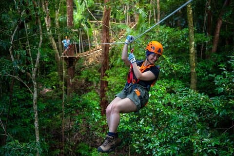 Cape Tribulation & Ziplining: Ultimate Daintree