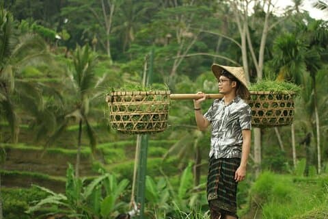 Tour privato: il meglio di Ubud e il tempio di Tanah Lot con All inclusive