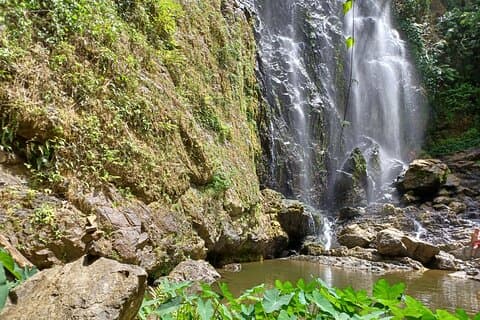 Hermosa caminata por el bosque a una hermosa cascada
