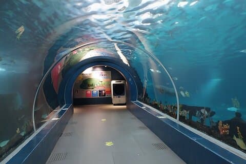 Cebu Ocean Park