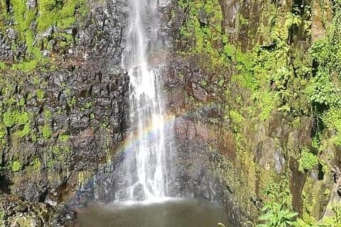 ムボコムの滝とアフリカで最も高い木
