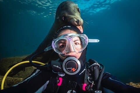 Scuba Dive in La Paz: Sea Lions, Turtles, Fish Schools and Wrecks