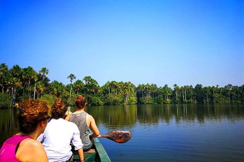 Tambopata Eco Jungle Adventure 4-dagers tur: (Dykking i naturen)
