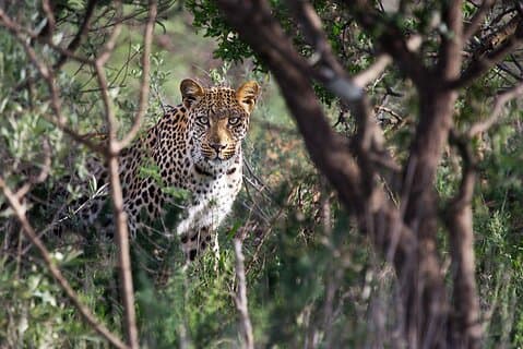 Around Gaborone Adventure
